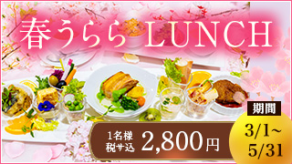 202602_春うららランチ